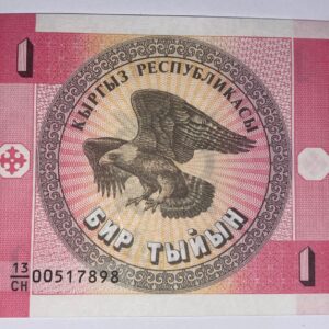 Lot 82 - Kyrgistan 1 Tyn