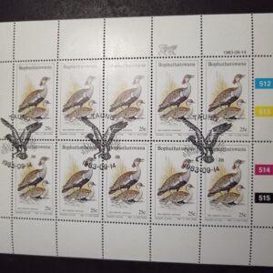 Lot 14 - Small block 11