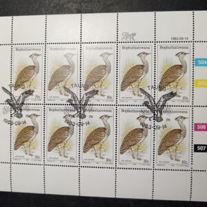 Lot 11 - Small block 8