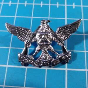 Regiment de Wet Collar badge