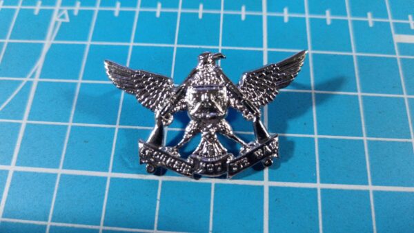 Regiment de Wet Collar badge