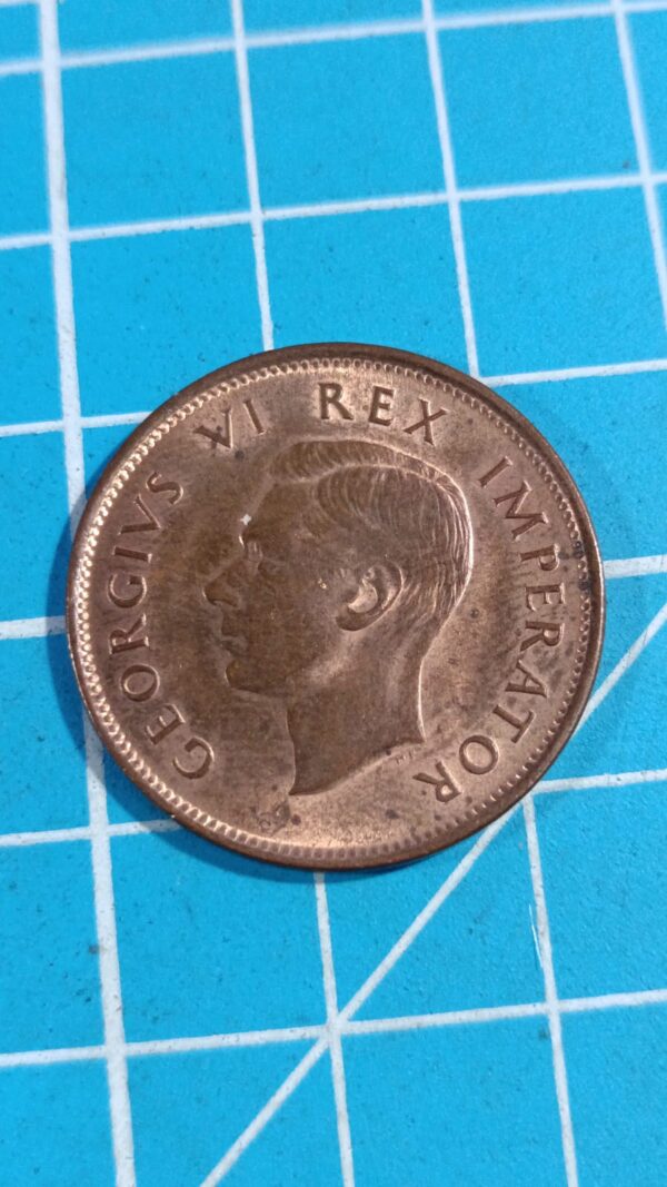 South African 1942 1/2 penny - Image 2